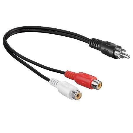 Tulp splitter Afbeelding