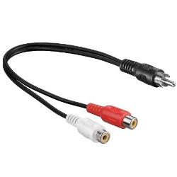 Tulp splitter Afbeelding