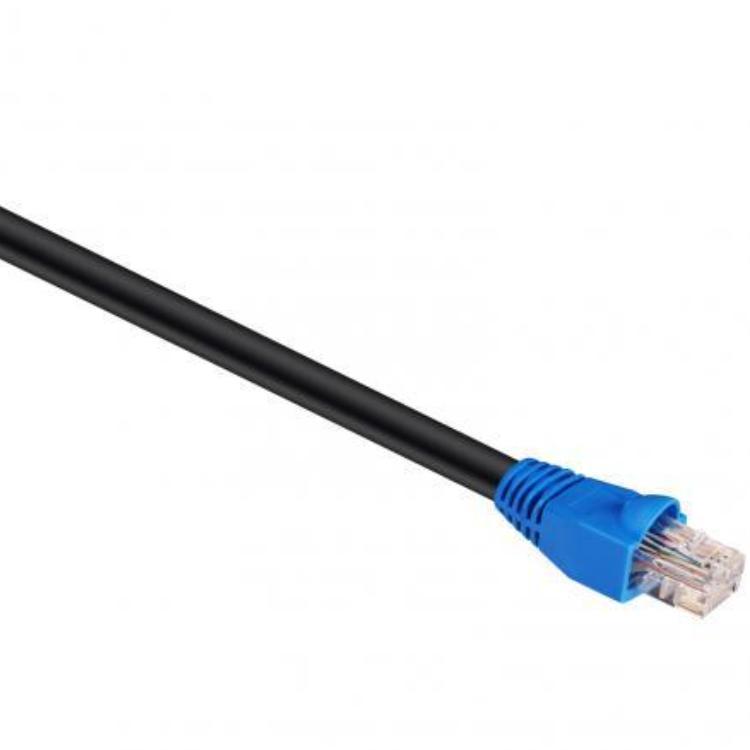 Cat 6 pour l'extérieur Image