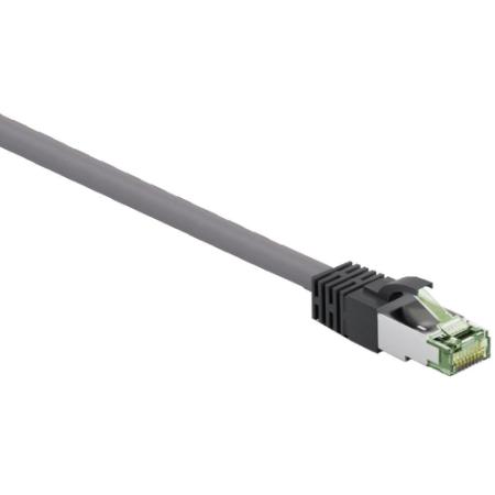 Cat8 Image