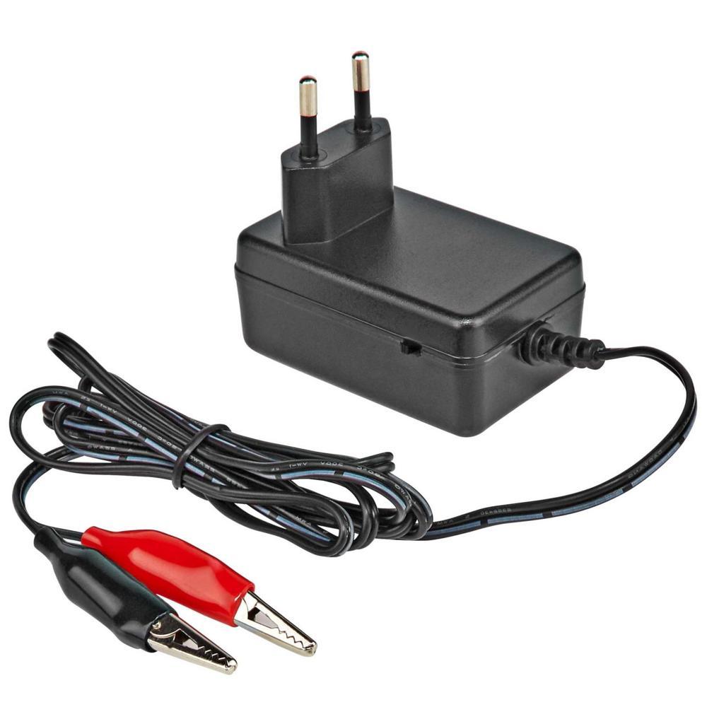 Chargeur de batterie 2 volts Image