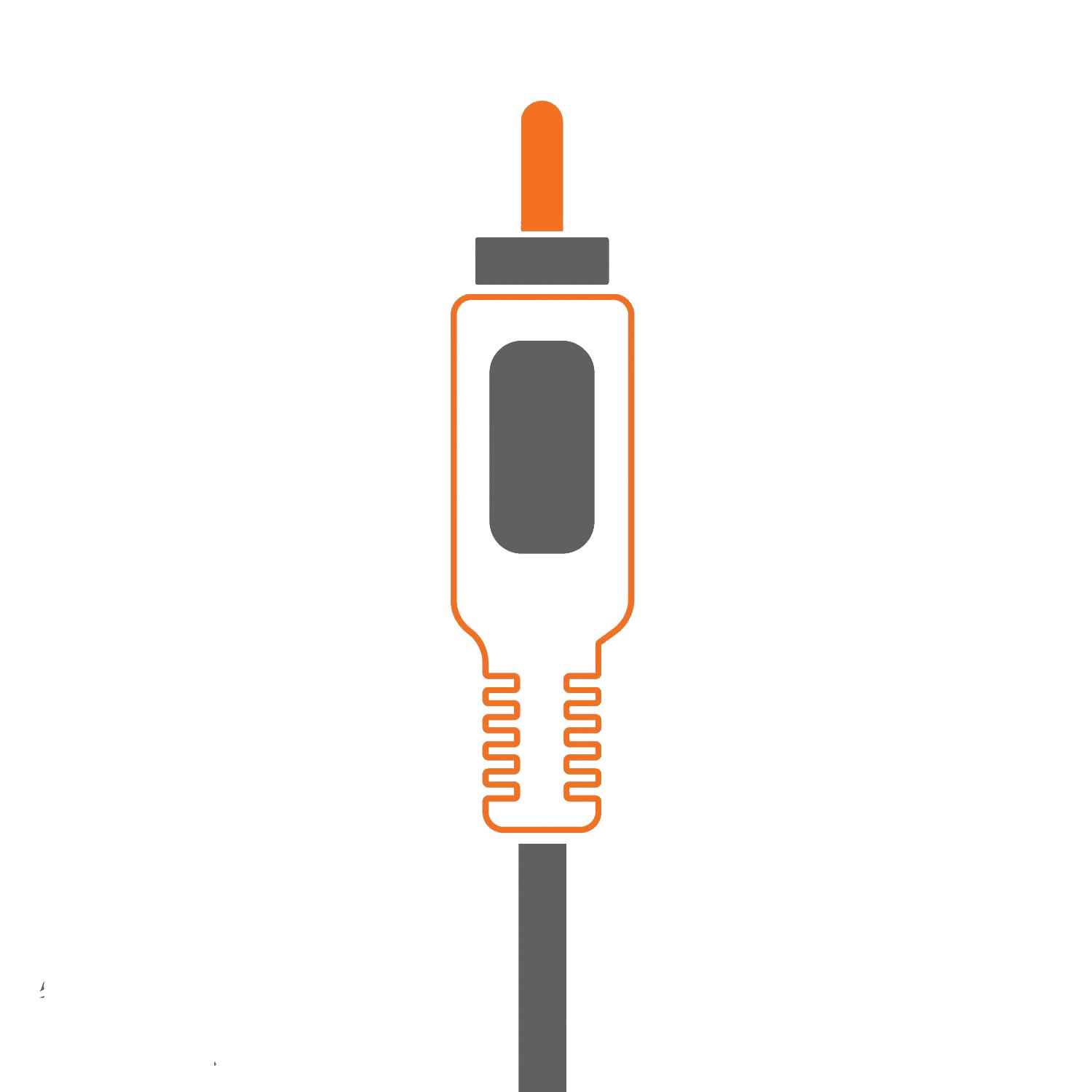 Tulp splitter Afbeelding