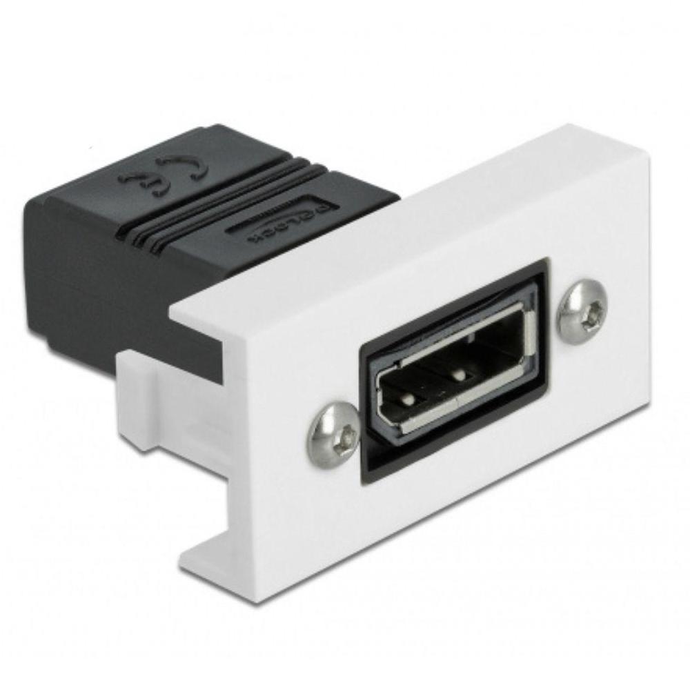 module DisplayPort Image