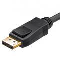 DisplayPort kabel afbeelding