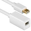 Câble d'extension Mini Displayport image