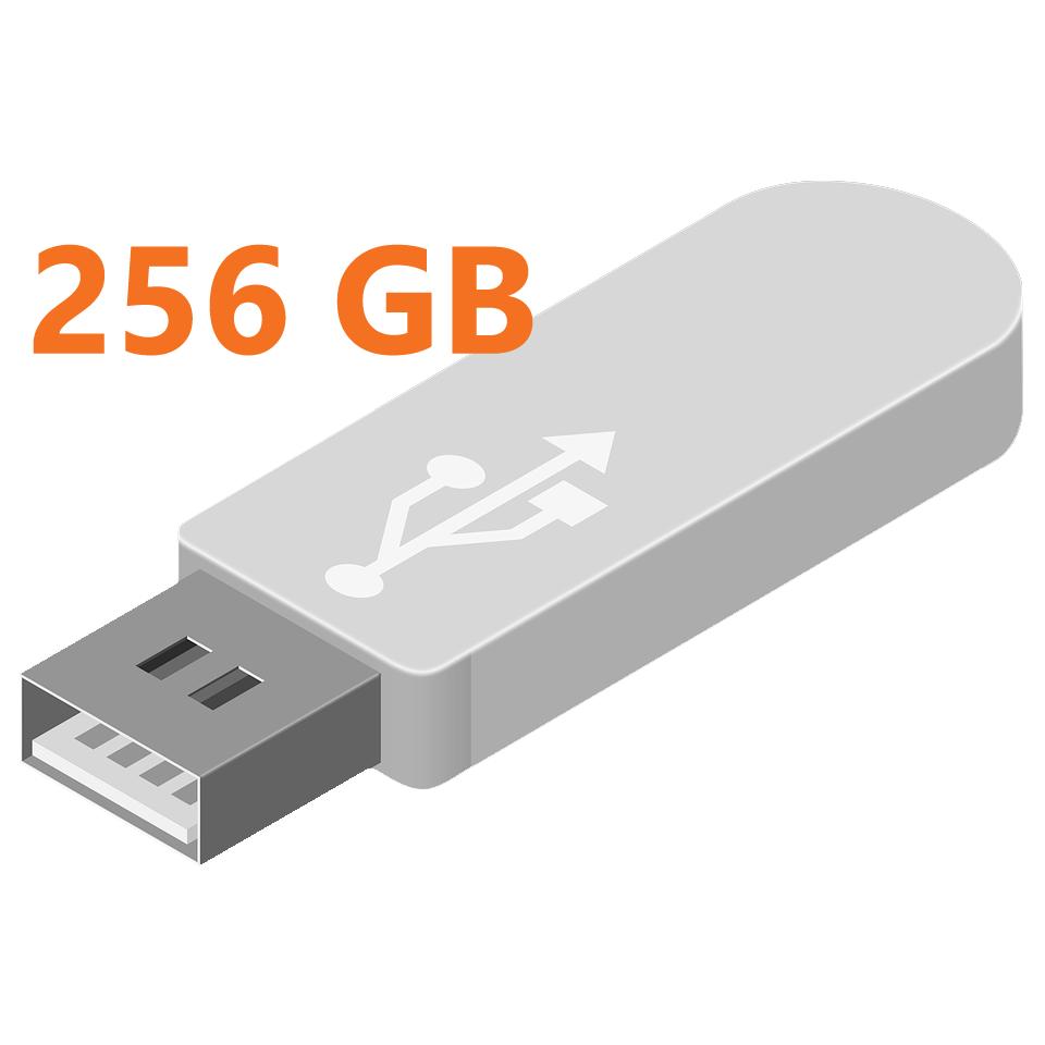 256 GB Afbeelding