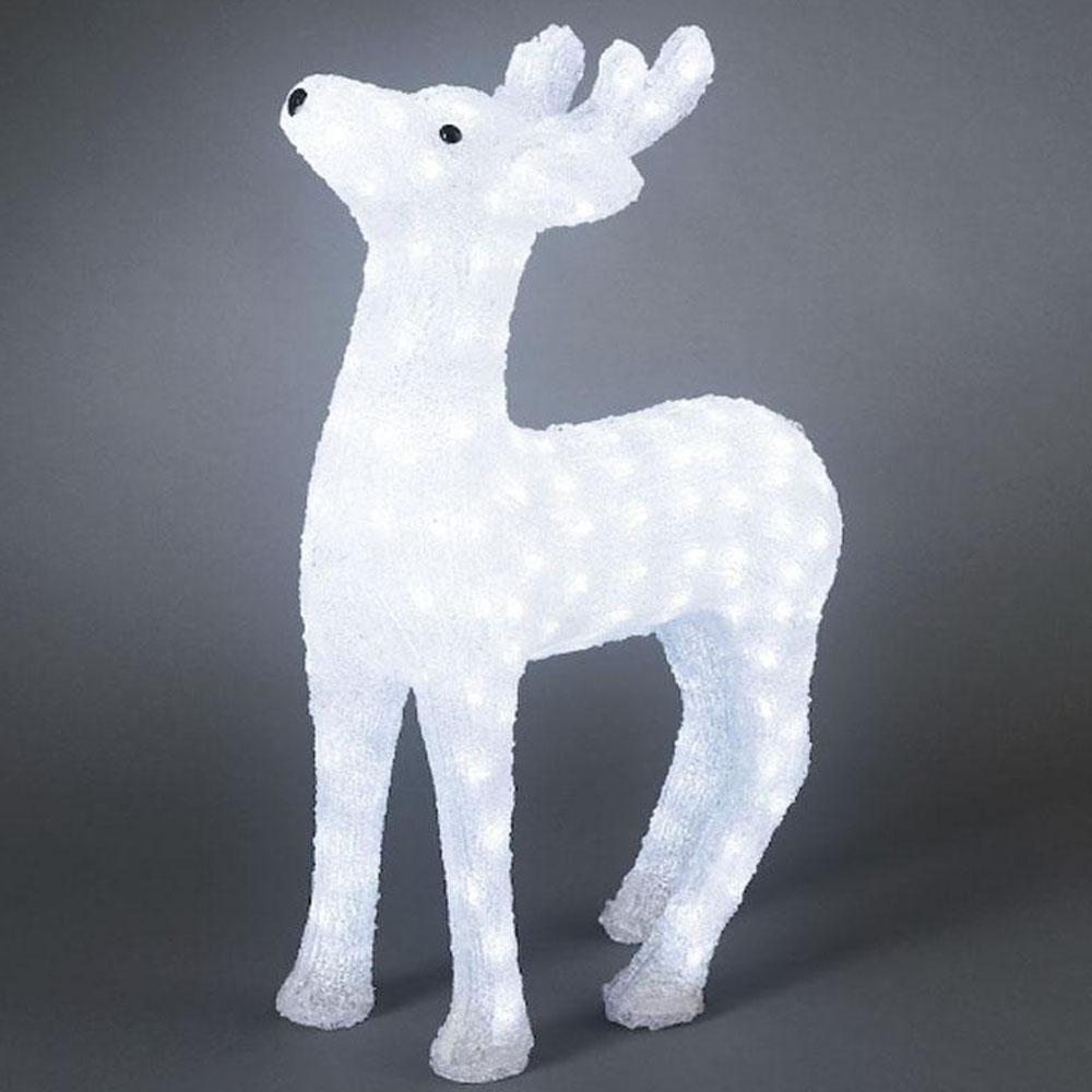 Renne - guirlandes lumineuses de Noël pour l'extérieur et l'intérieur - 176 lumières - 39 x 60 cm - blanc froid