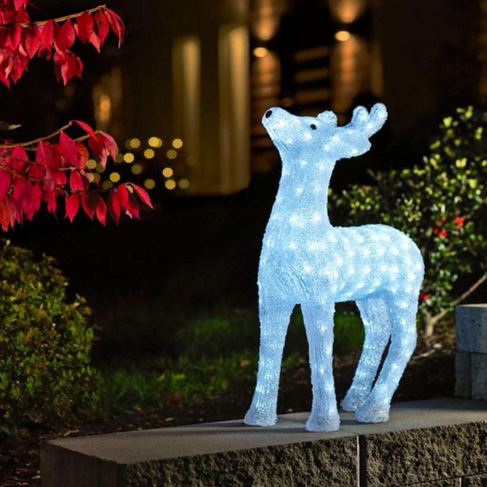 Rendier - led kerstverlichting buiten en binnen - 176 lampjes - 39 x 60 cm - koud wit