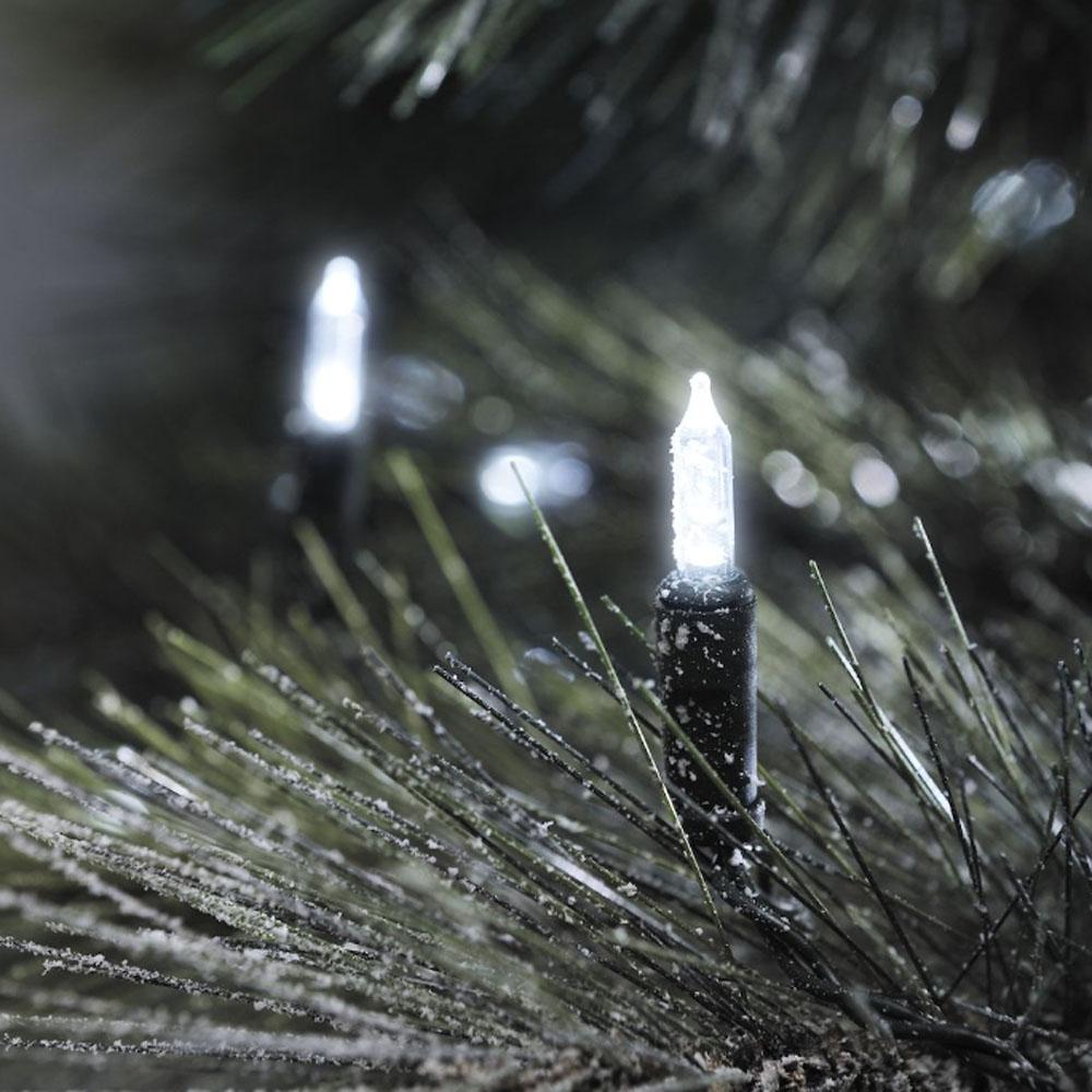 Éclairage de l'arbre de Noël