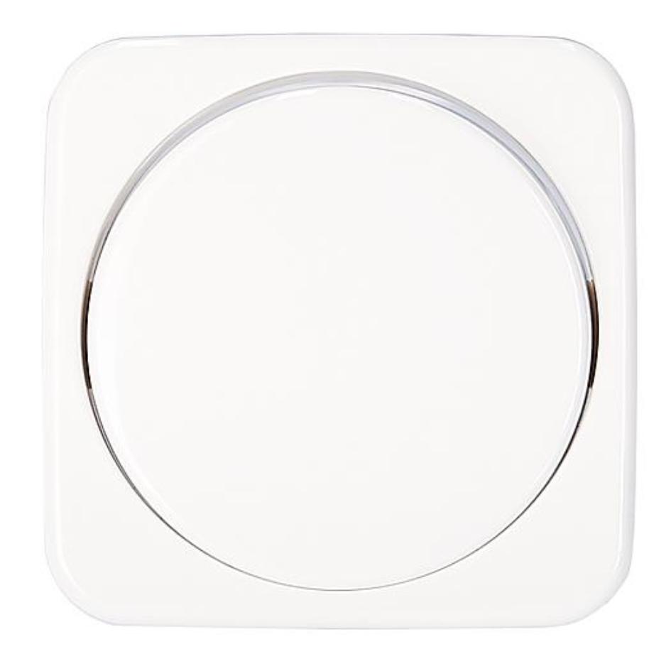Plaque centrale - Variateur