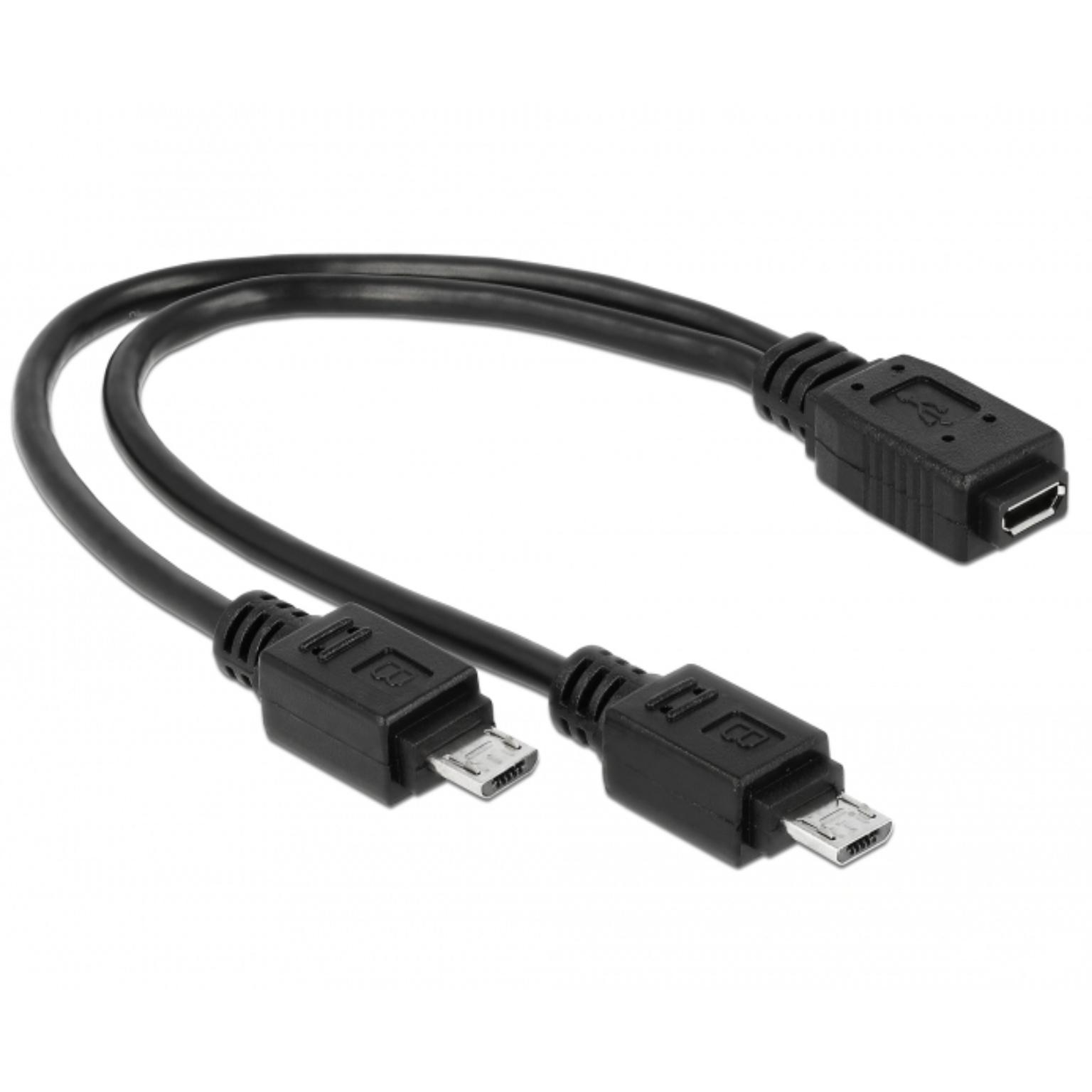 USB Y adapter omvormer - Delock
