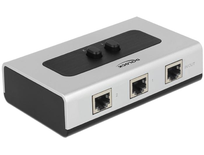 Delock RJ45 10 Gbps 2 Port manueel