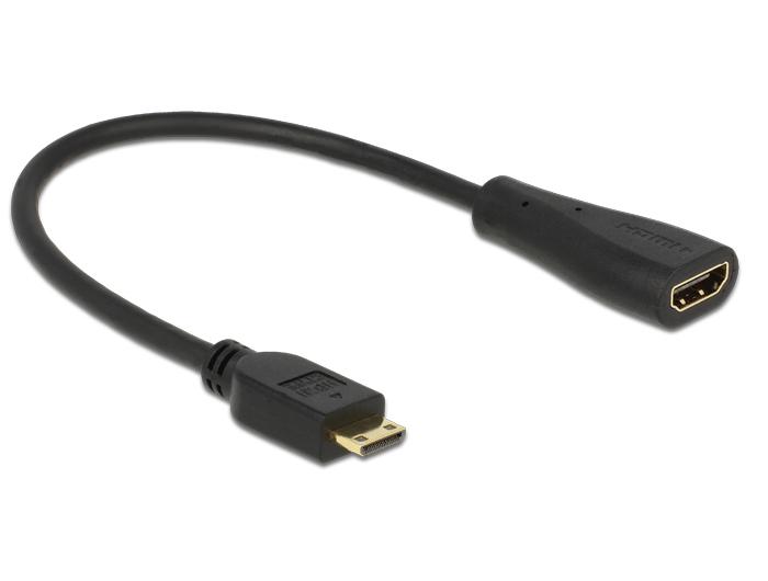 Delock Kabel High Speed HDMI met Ethernet mini C Stekker > A Buchse - Delock