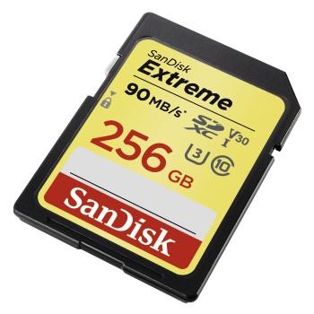 UHS-I - 256 GB - SanDisk