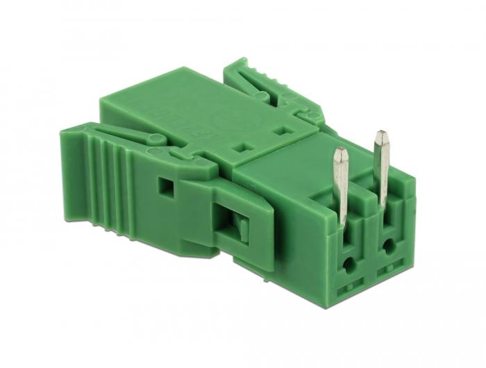Delock-Klemmenblocksatz voor printplaat 2-polig raster 3,81 mm horizontaal - Delock