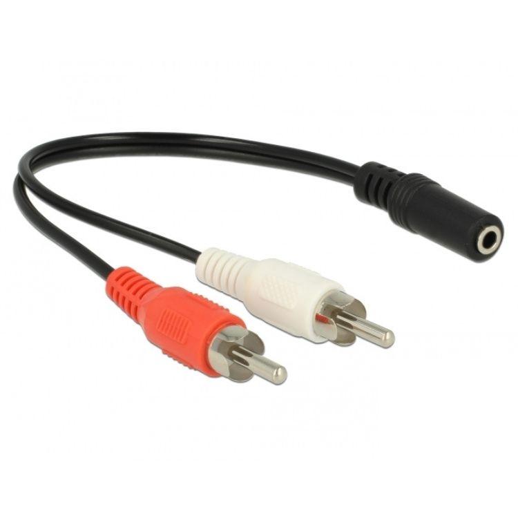 Delock Audio Kabel 2 x RCA Stekker naar 1 x 3,5 mm 3-polige Jack 20 cm