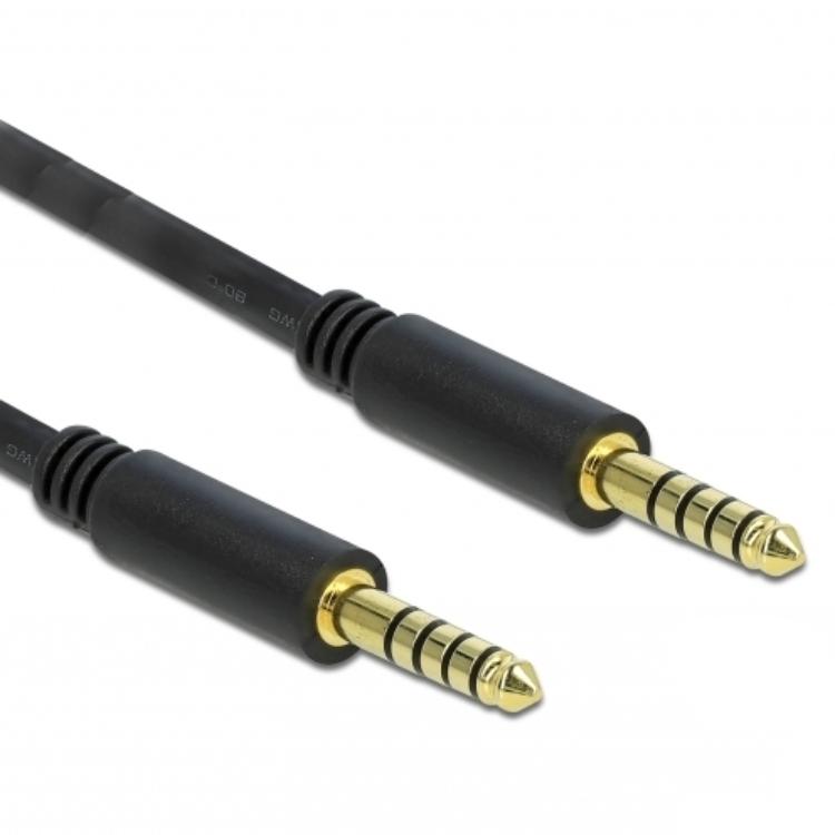 Delock Jackkabel 4,4 mm 5-pins Stekker op Stekker 2 m zwart - Delock