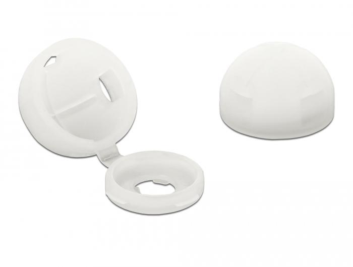 Delock beschermkap voor schroef M4 naturel 10 stuks - Delock