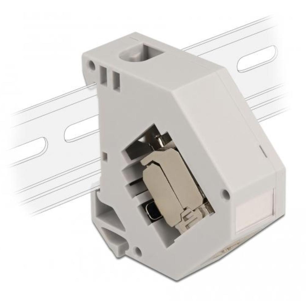Delock Adaptateur rail DIN avec module Keystone connexion RJ45 Cat.6A LSA
