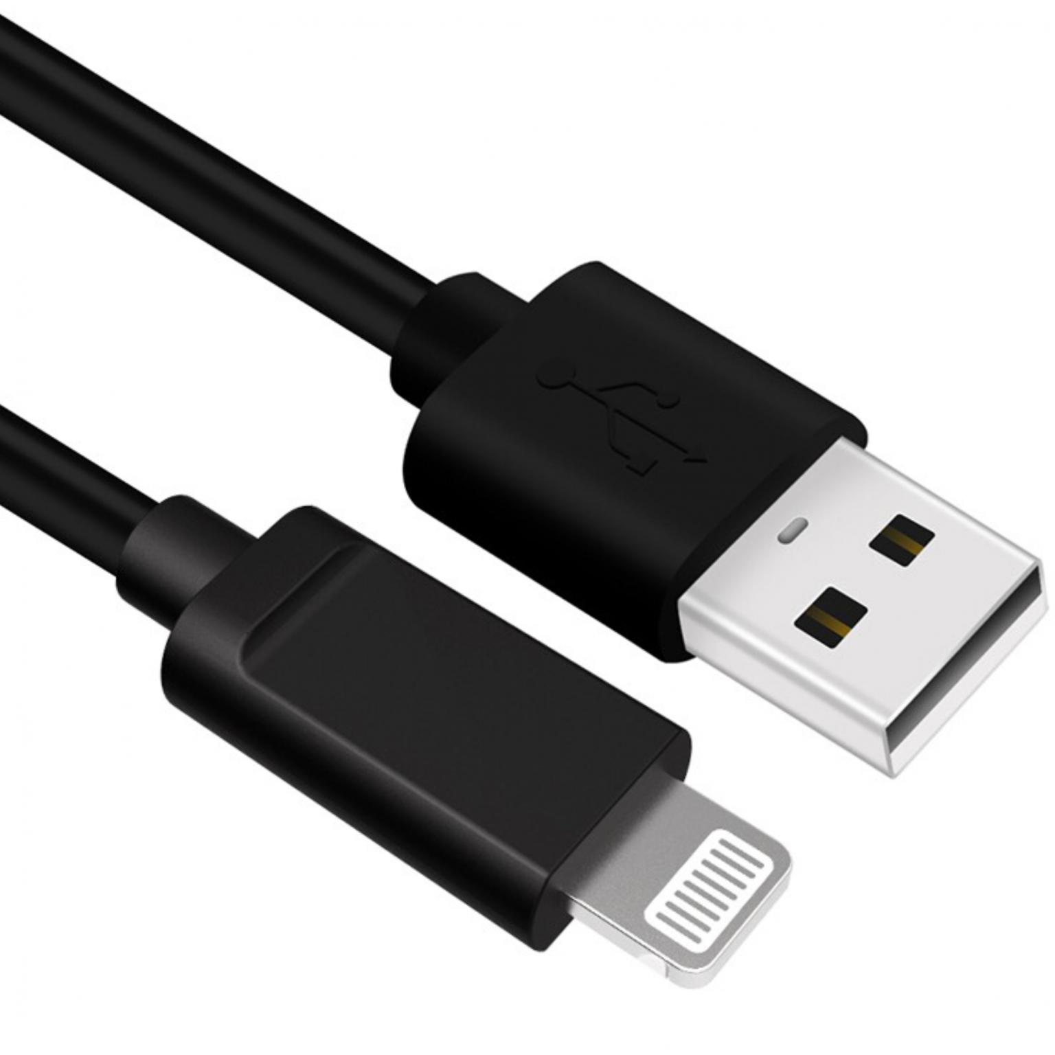 Weekendtas Struikelen Pastoor USB A naar Lightning kabel - 2.0 - Extra: MFI gecertificeerd Aansluiting 1:  USB A male, Aansluiting 2: Lightning male, Lengte: 0.5 meter.