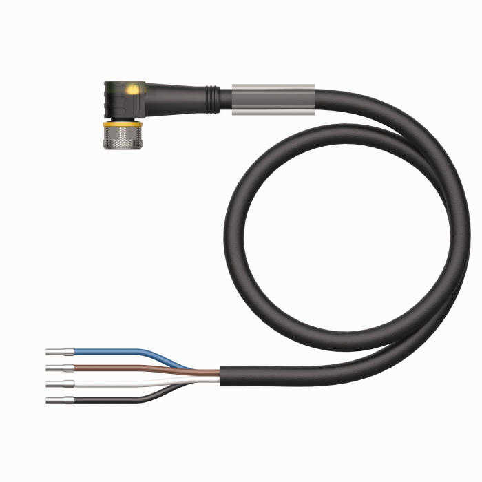 Cordon électrique - EFB Elektronik