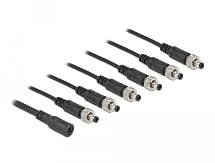 Delock DC-verdeelkabel 5,5 x 2,1 mm 1 x bus op 6 x stekker geschroefd - Delock