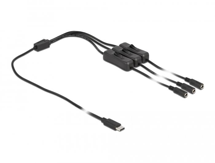 Delock Kabel USB Type-C™-Stekker naar 3 x DC 5,5 x 2,1 mm Bus met Schakelaar - Delock