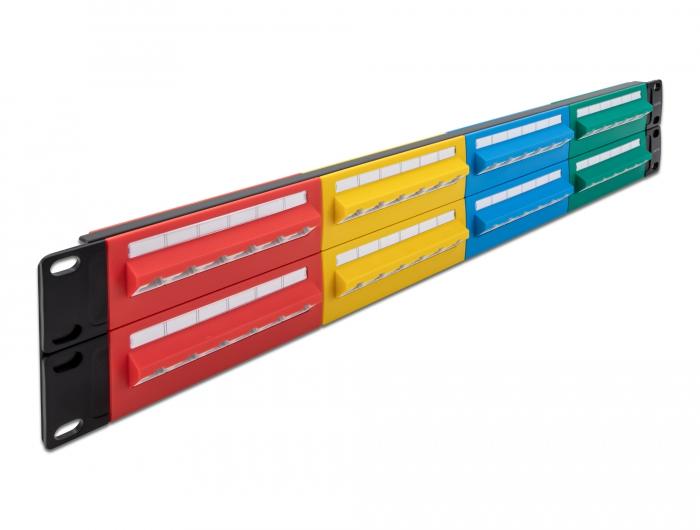 Delock 19″ Patchpaneel 48 poort Cat.5e 2 HE gekleurd - Delock