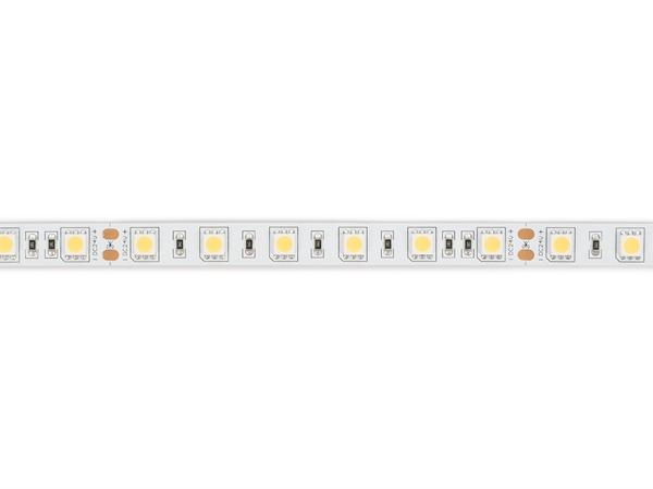 BANDE LED FLEXIBLE - BLANC 6500K - 60 LEDs/m - 5 m - 24 V - IP20 - CRI90 - EtiamPro
