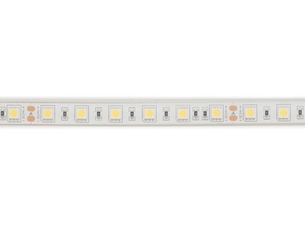 RUBAN LED FLEXIBLE - BLANC 6500K - 60 LEDs/m - 5 m - 24 V - IP68 - CRI90 - EtiamPro