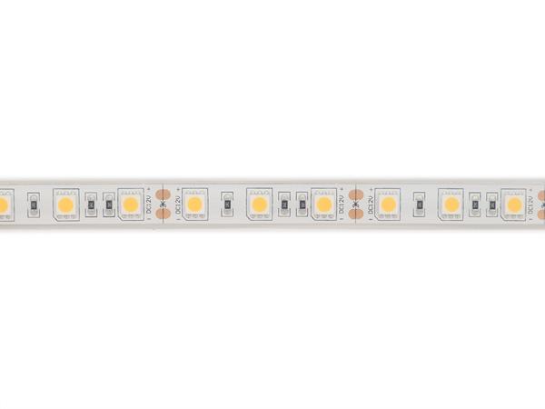 FLEXIBELE LEDSTRIP - WIT 3000K - 60 LEDs/m - 5 m - 12 V - IP68 - CRI90 - EtiamPro