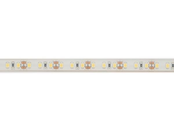 RUBAN LED FLEXIBLE - BLANC 6500K - 120 LEDs/m - 5 m - 12 V - IP68 - CRI90 - EtiamPro