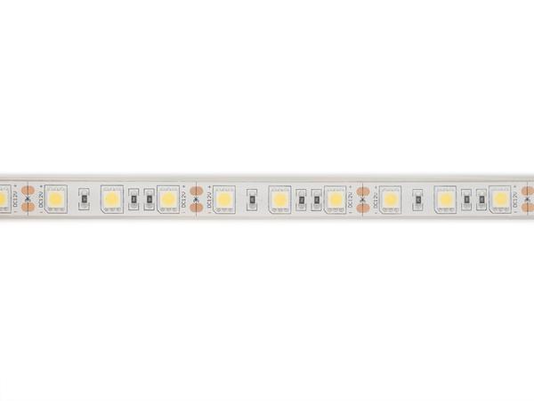 RUBAN LED FLEXIBLE - BLANC 6500K - 60 LEDs/m - 5 m - 12 V - IP68 - CRI90 - EtiamPro