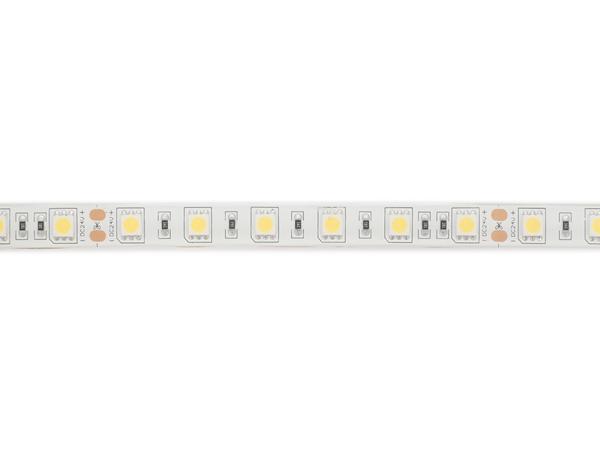 FLEXIBELE LEDSTRIP - WIT 6500K - 60 LEDs/m - 5 m - 24 V - IP61 - CRI90 - EtiamPro