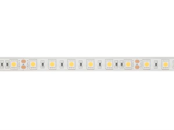 RUBAN LED FLEXIBLE - BLANC 4000K - 60 LEDs/m - 5 m - 24 V - IP61 - CRI90 - EtiamPro