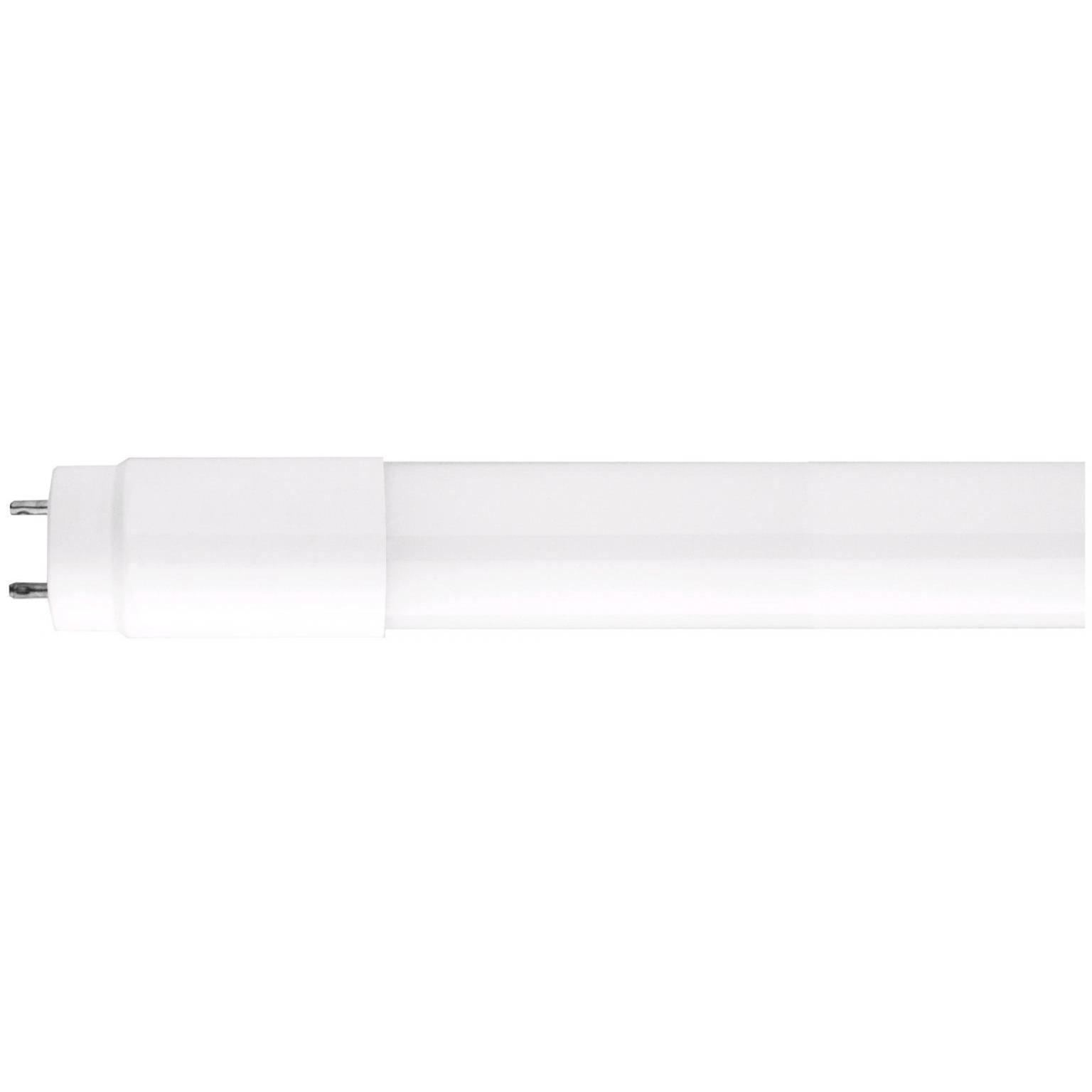Tube en verre à diodes électroluminescentes - Avide