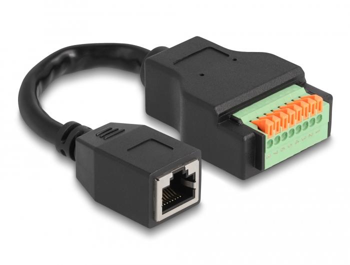 Delock RJ45-Kabel Cat.5e-aansluiting op klemmenblokadapter met drukknop 1 - Delock