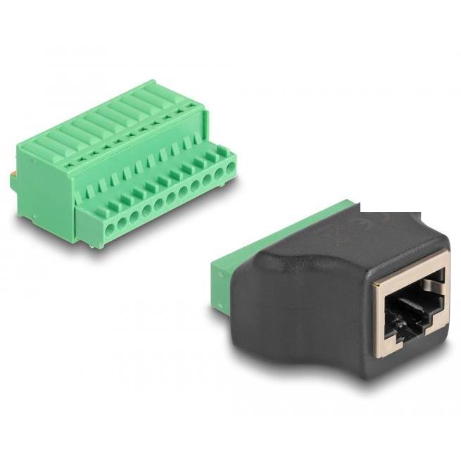 Delock RJ50 vers bornier avec bouton-poussoir