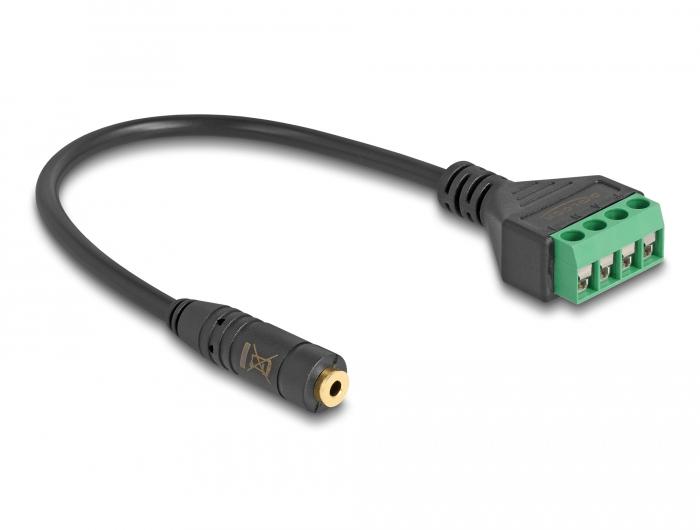 Delock Kabel 2,5 mm jackplug naar terminalblok, 20 cm