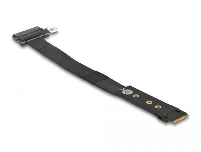 Delock M.2 Key M vers U.2 SFF-8639 NVMe Adaptateur avec câble de 20 cm