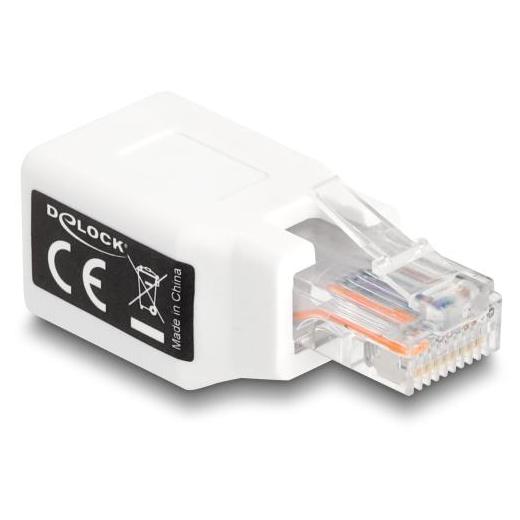 Delock RJ50 Adaptateur, fiche à prise, blanc