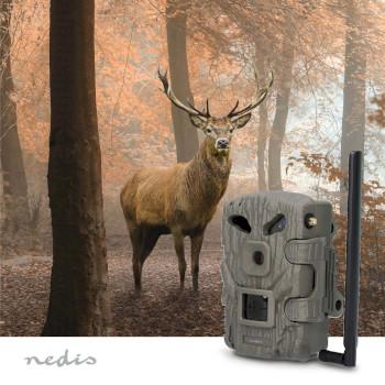 Wildcamera 1080p@30fps 30,0 MPixel 2 MPixel CMOS IP66 Zwart - Nedis
