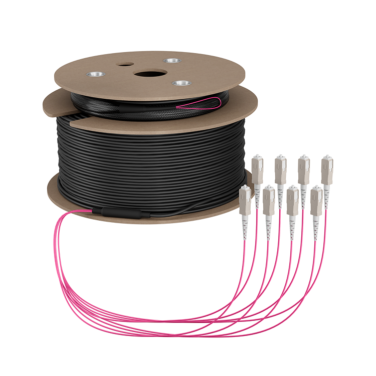 SC - SC - 150 meter - Roze - EFB