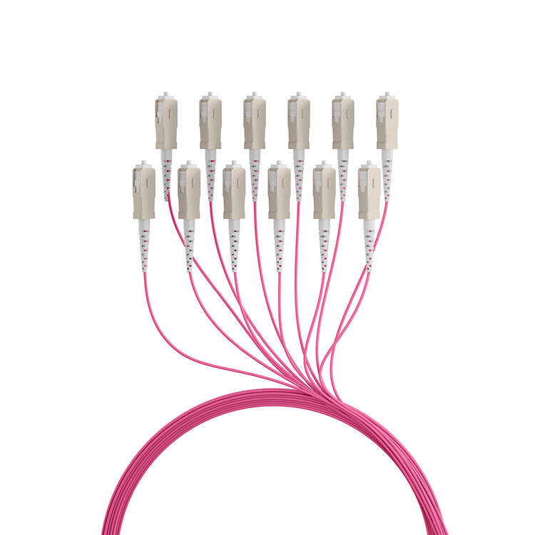 SC - SC - 30 meter - Roze - EFB