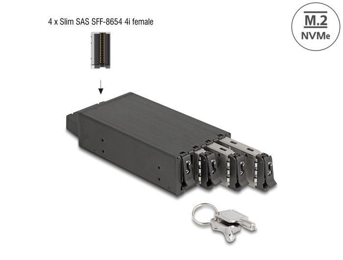 Delock Slim Bay Wisselframe voor 4 x M.2 NVMe SSD met Slim SAS SFF-8654