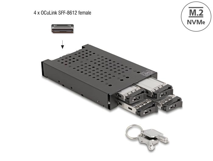 Delock 3.5″ châssis d'extraction pour 4 x M.2 NVMe SSD avec connecteur OcuLink SFF-8612