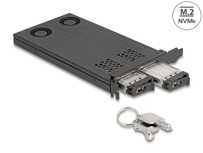 Delock PCI Express x16 Carte châssis interchangeable pour 2 x M.2 NVMe SSD - Bifurca