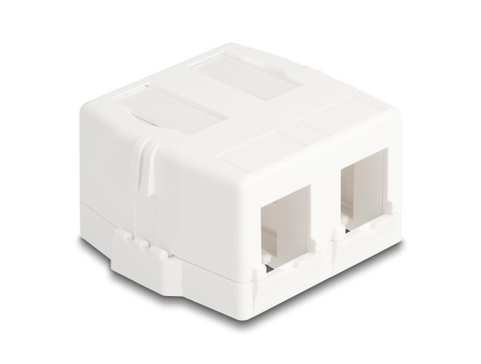 Delock Keystone legehuis 2-poorts met magnetische onderkant, wit