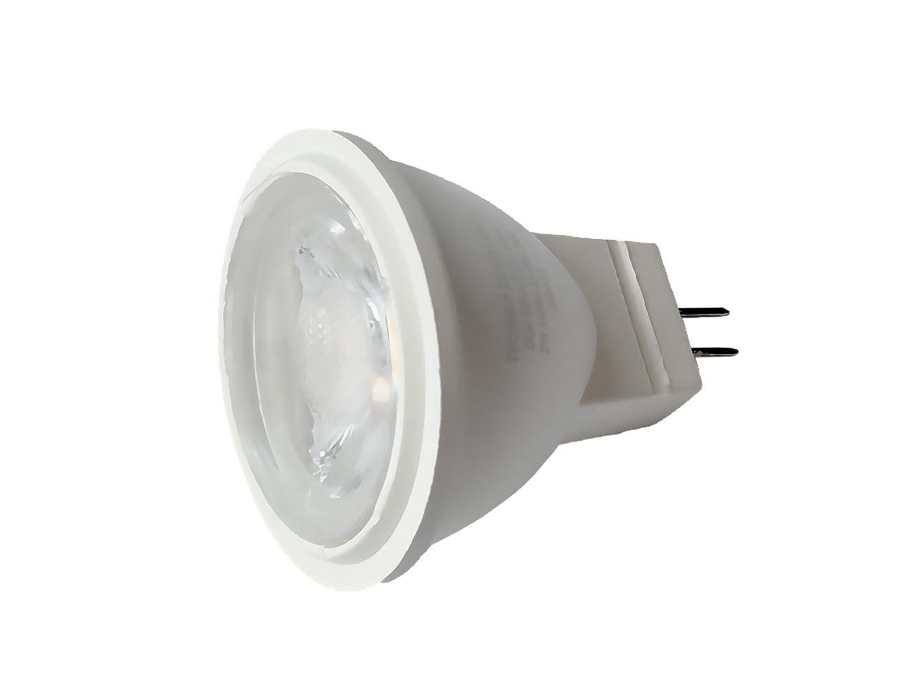 - Garden Lights