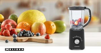 Blender sur pied 800 W 2 vitesses + pulse 4 lames en acier inoxydable - MELISSA